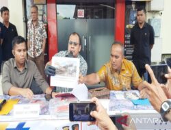 Polda Kalsel sita 500 ton batu bara hasil tambang ilegal di HSS