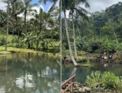 Liburan ke Wisata Air Tejaherang Subang, Kolam Alami di Tengah Sawah Hijau