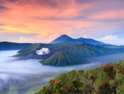 8 Tempat Wisata Sejuk di Malang Jawa Timur, Udaranya Segar