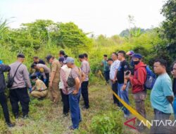 Polres Sukabumi kembangkan temuan kerangka perempuan di kebun kosong