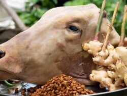 Manfaat Kepala Sapi untuk Kesehatan, Ini Nutrisi yang Dikandungnya