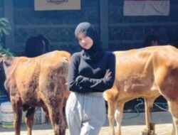 Viral! Wanita Cantik Lulusan S2 Unpad Jualan Sapi di Kampung, Netizen: Bagian dari Bisnis