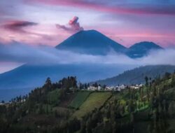 Wisata Argosari Lumajang, Desa di Atas Awan dengan Banyak Pesona