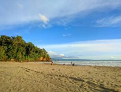 7 Rekomendasi Pantai Sukabumi, Salah Satunya Jadi Pusat Konservasi Penyu