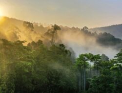 7 Tempat Wisata Dingin di Kalimantan, Nomor 6 Salah Satu Puncak Tertinggi di Indonesia