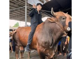 Jangan Lewatkan! Content Creator Viral Willie Salim Bakal Pandu Sesi Shopee Live dengan Berbagai Promo Bombastis