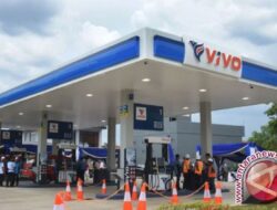 Komparasi harga BBM Pertamina dengan Vivo per Agustus 2024