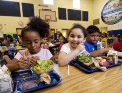 Menilik Fungsi Dasar Program Makan Gratis untuk Anak Sekolah, Ahli: Pemerataan Gizi